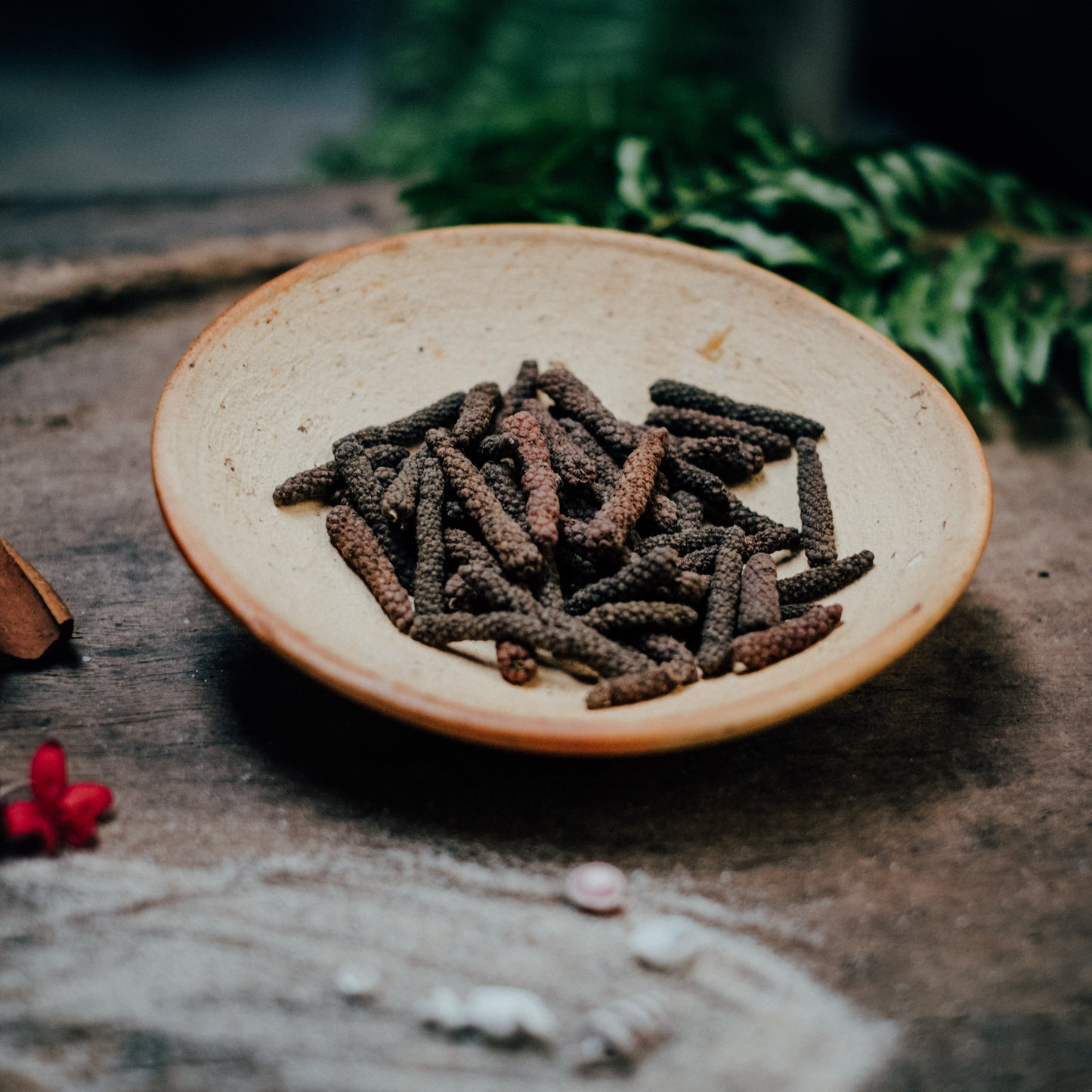 Long Pepper