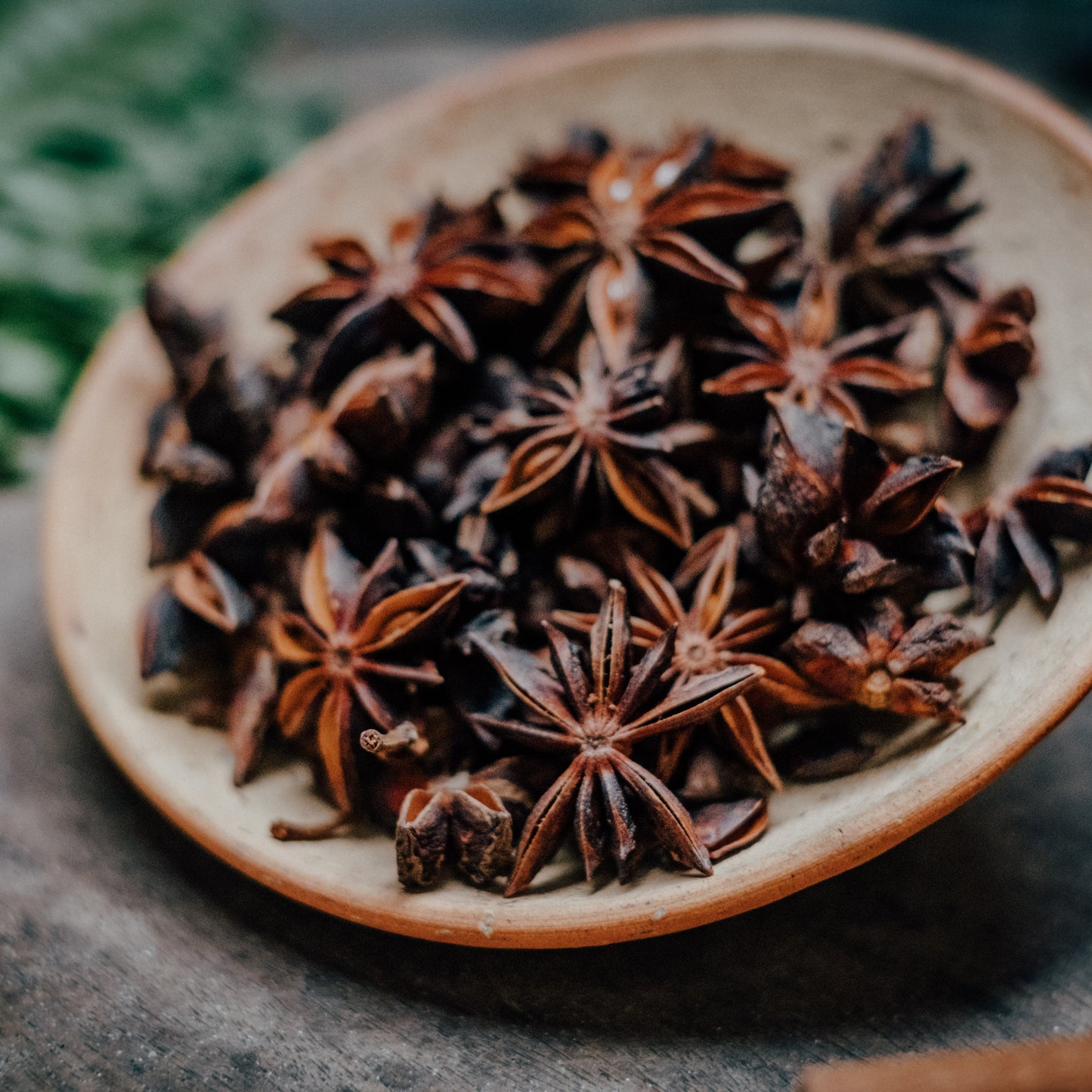 Star Anise