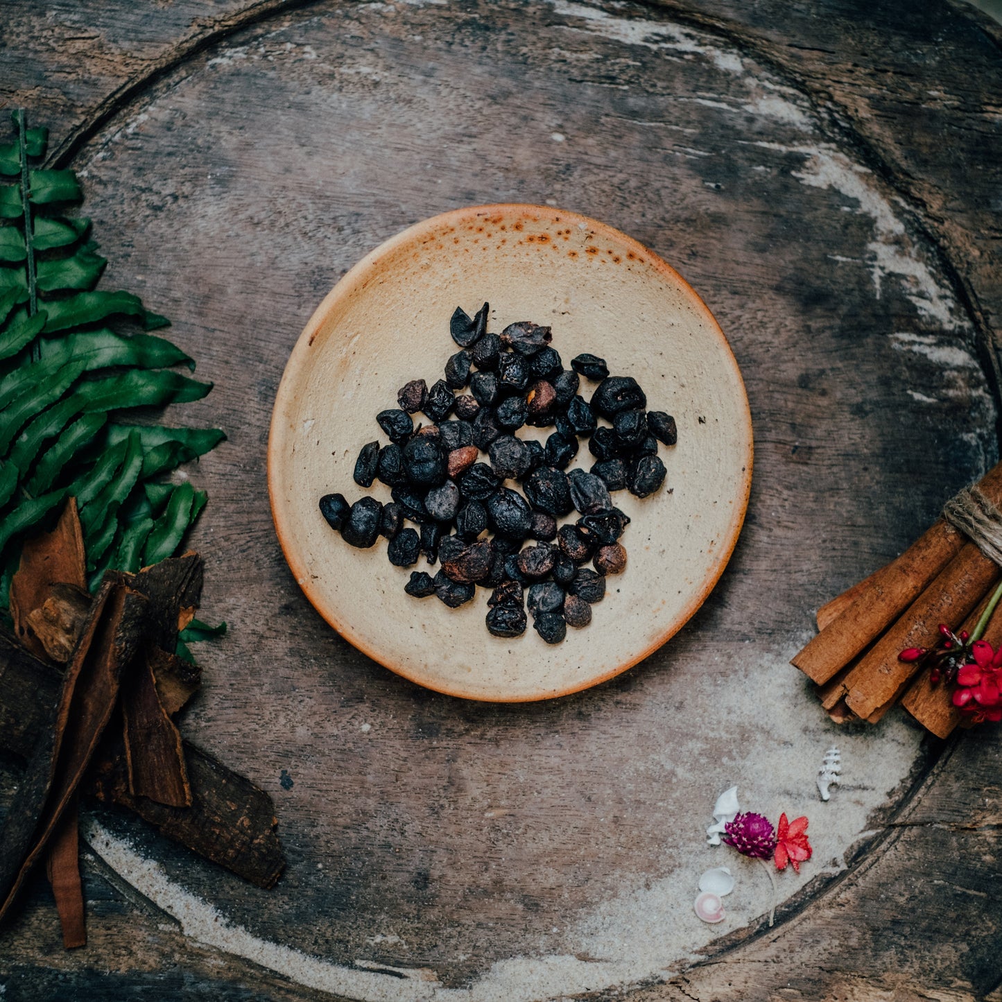 Clausena Seeds