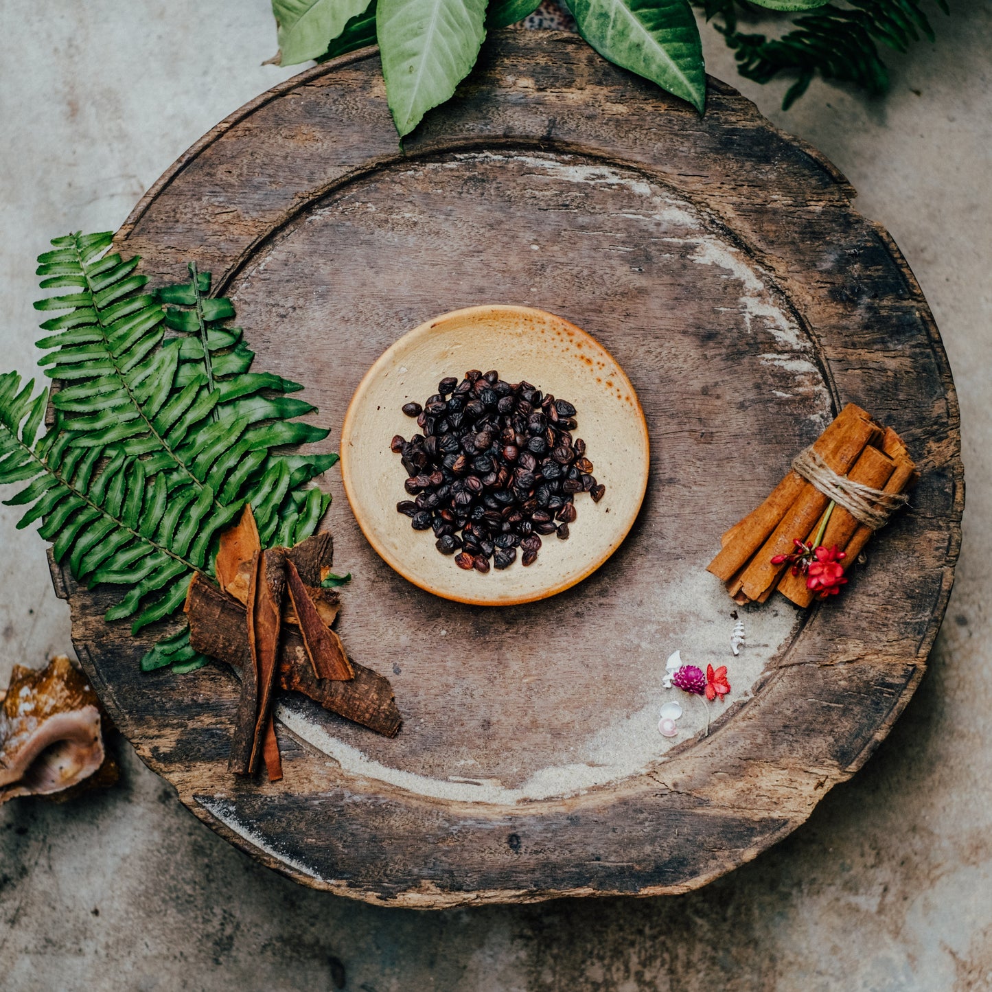 Wild Spice Doi Seeds