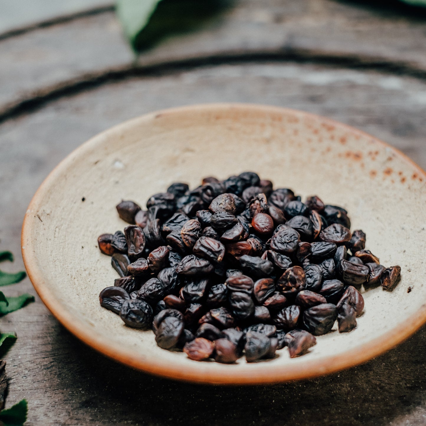 Wild Spice Doi Seeds