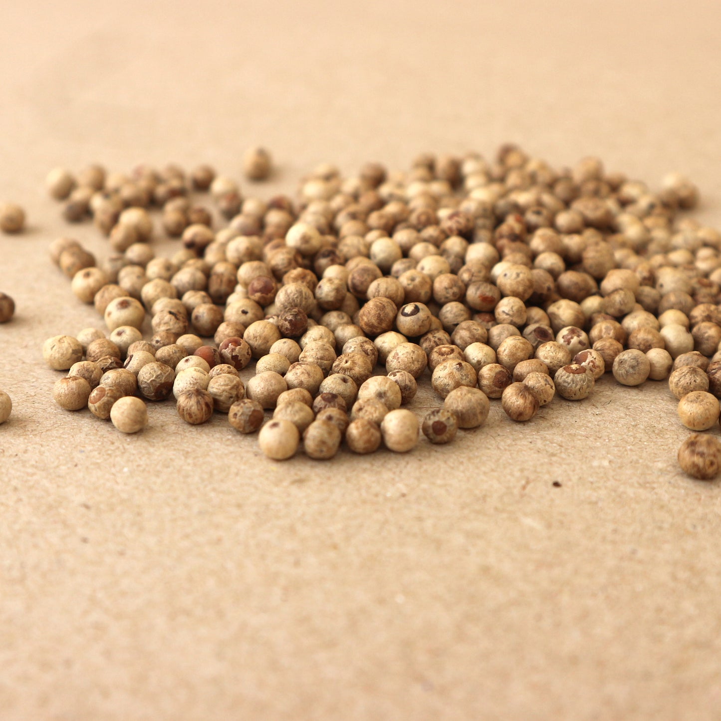 Phu Quoc White Peppercorn